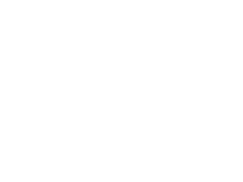 bnr_half_business