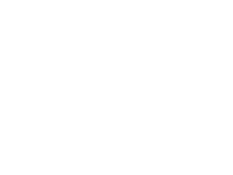 bnr_half_case